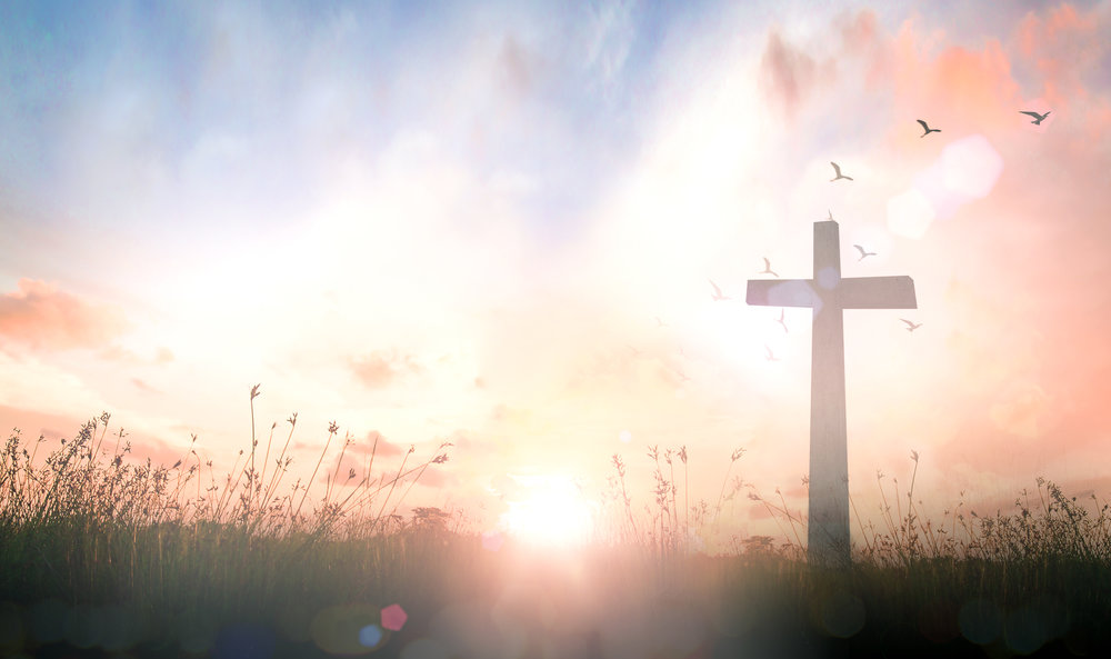 iStock 929234520